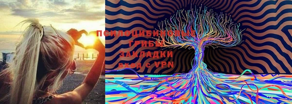 кокс Заводоуковск